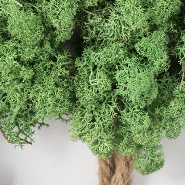 Árbol en miniatura con flores preservadas