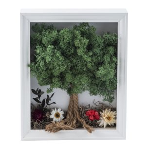 Cuadro de árbol con musgo preservado