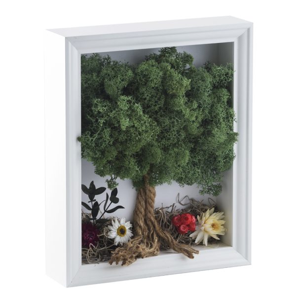 Cuadro de árbol con musgo preservado