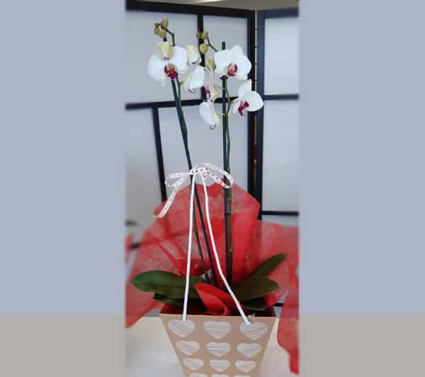 regalar flores en san valentín floristeria emprey 1