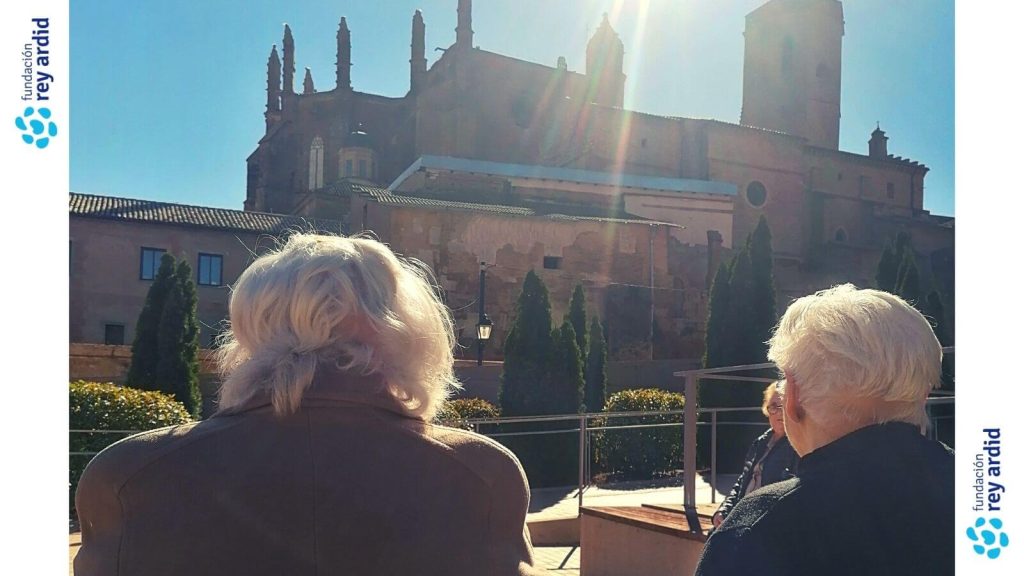 Fundación Rey Ardid Atención Centrada en la persona