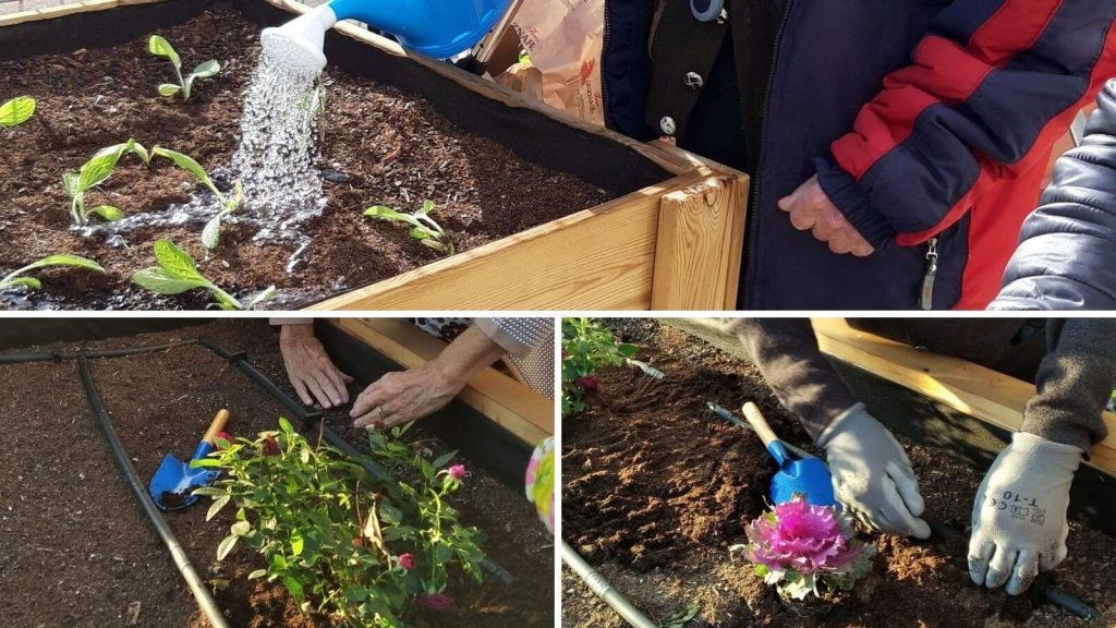 Método Montessori Atención centrada en la persona Residencia Rey Ardid Rosales