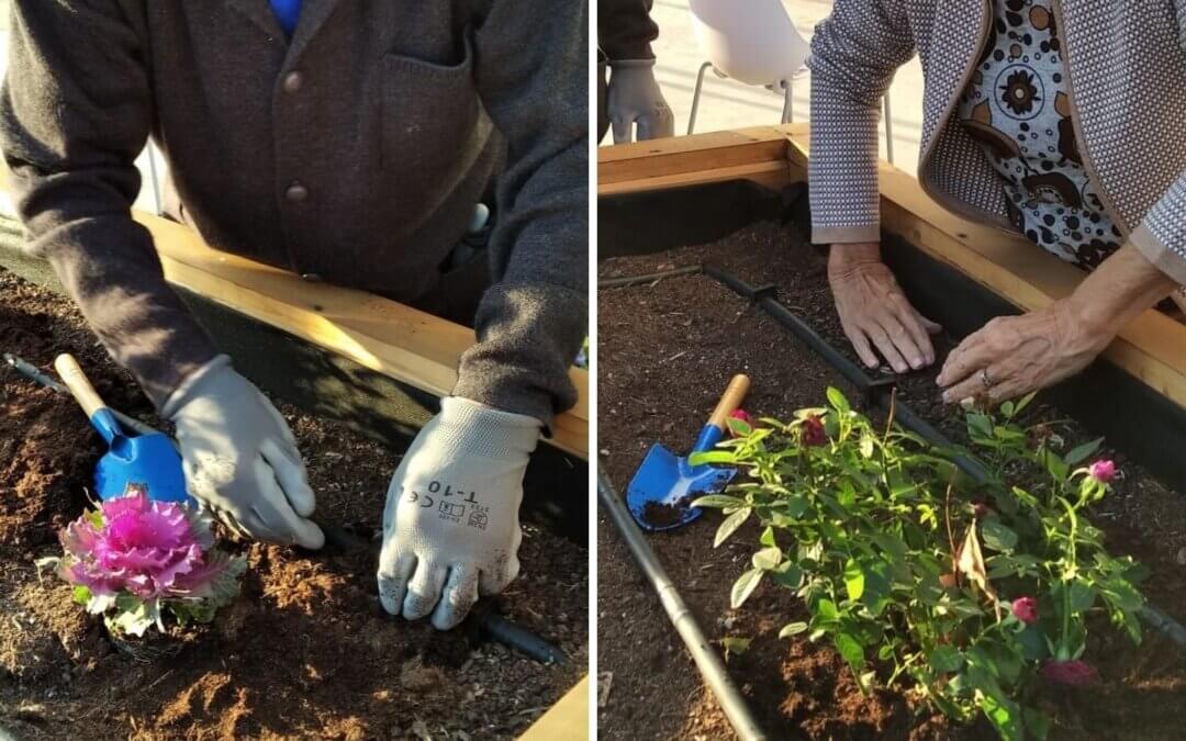 Metodo Montessori Residencias Rey Ardid