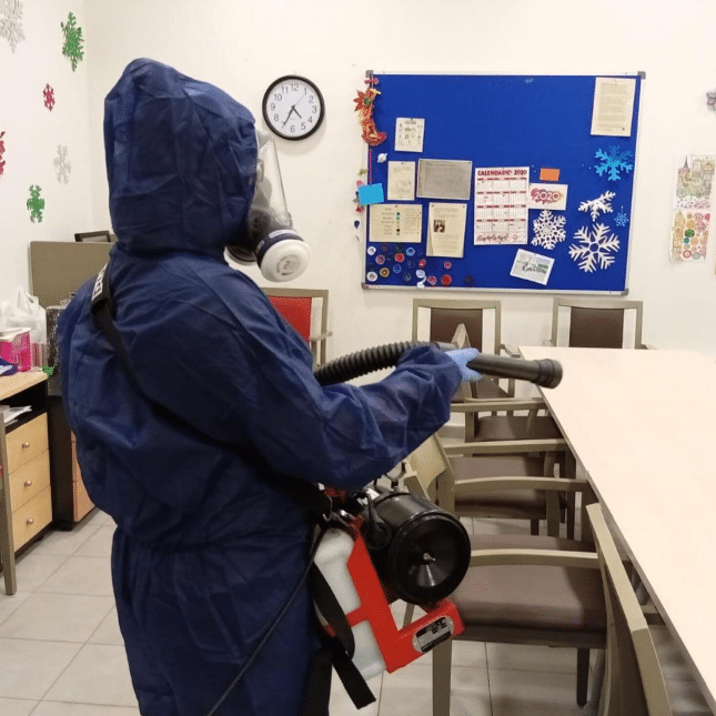 Cómo eliminar las polillas con servicio profesional de desinfecciones
