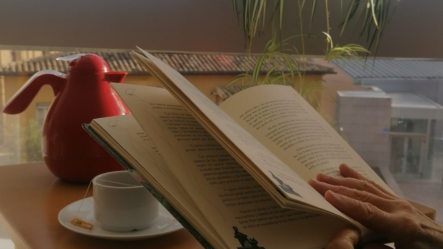 lectura como terapia cognitiva