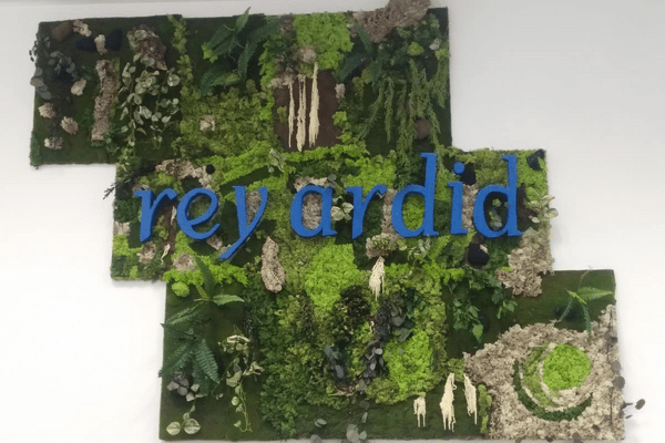 Arena imponer Salida Las mejores plantas para jardines verticales