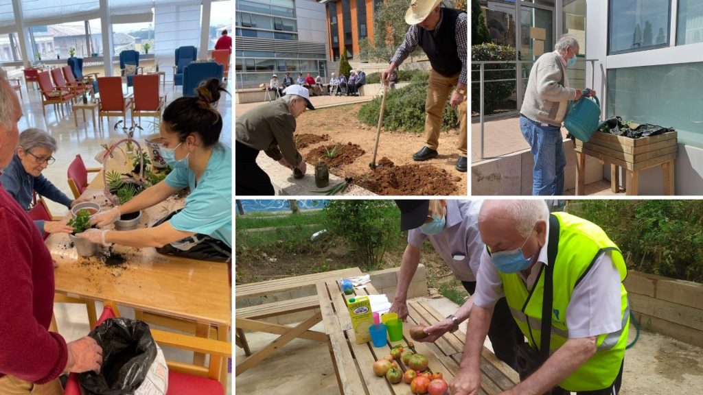 Beneficios de la horticultura y jardinería terapéutica en personas mayores