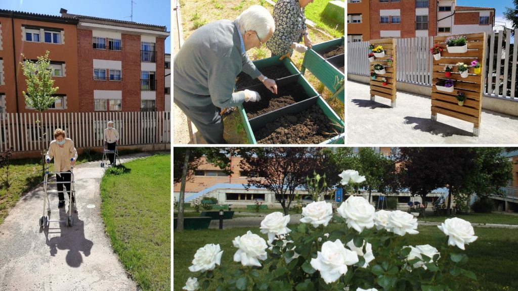 Beneficios de la horticultura y jardinería terapéutica