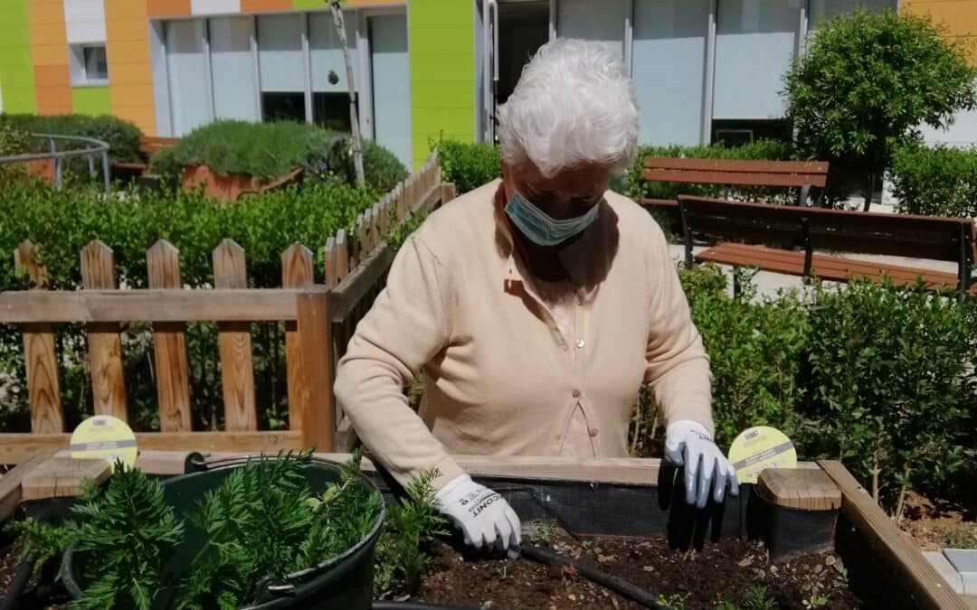 beneficios horticultura y jardinería terapéutica