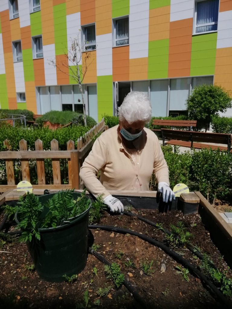 beneficios horticultura y jardinería terapéutica