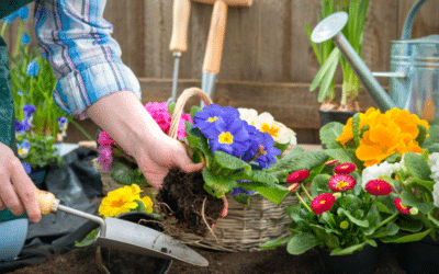 Consejos para elegir las plantas de exterior para tu jardín