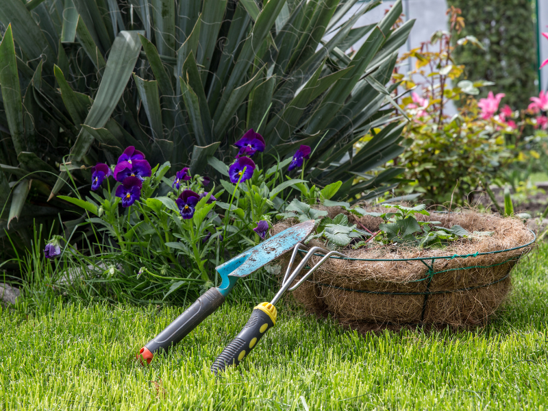 Cuidado del jardín en verano