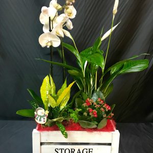 Cesta de flores naturales grande