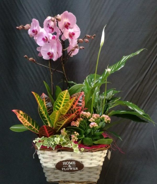 Cesta de flores naturales grande