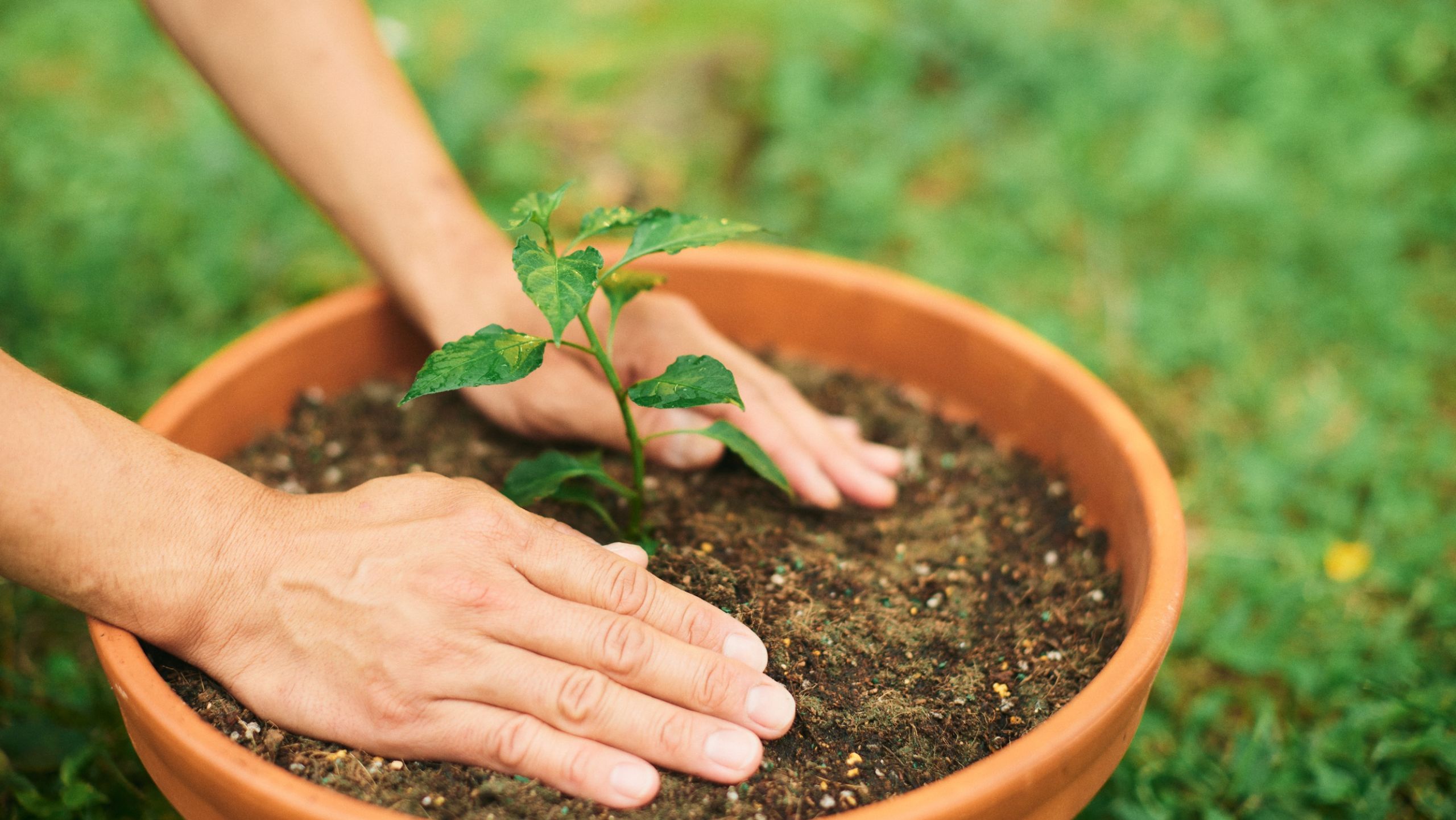 Hábitos diarios para cuidar y fortalecer la autoestima