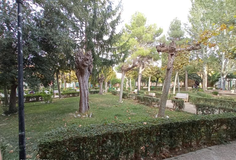 Jardín-3 (1)