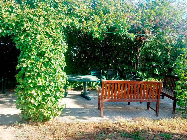 Residencia-Torre-Medina-ZRG-jardín-1