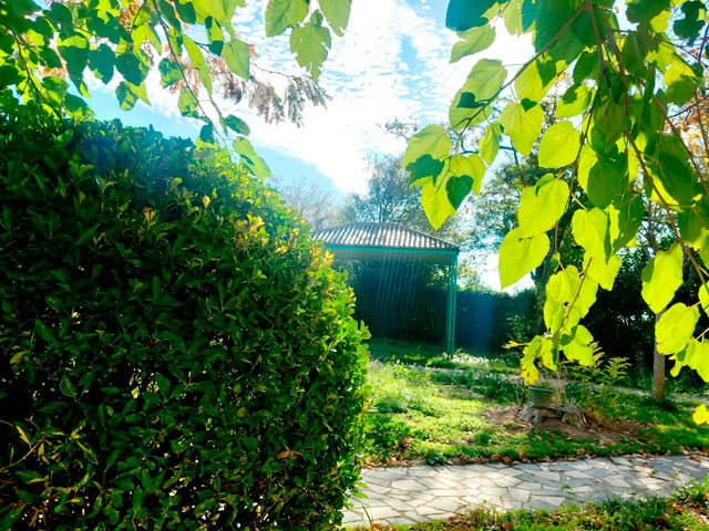 Residencia-Torre-Medina-ZRG-jardín-2