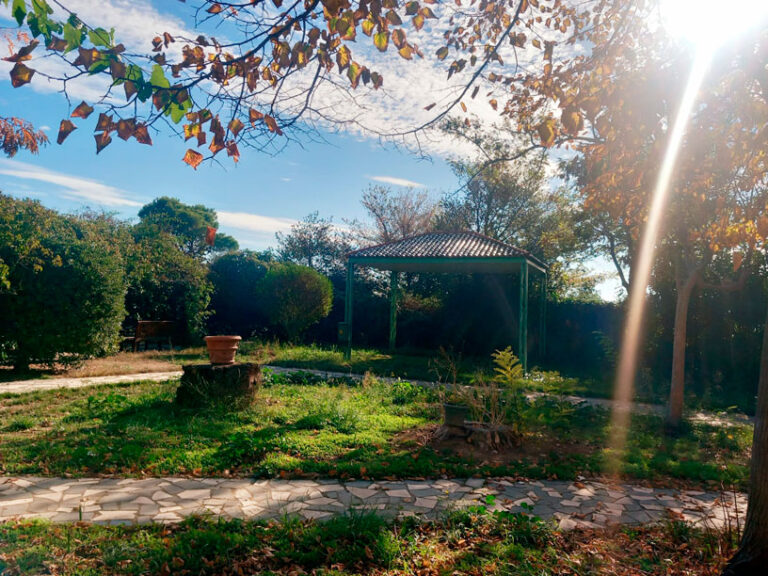 Residencia-Torre-Medina-ZRG-jardin-4