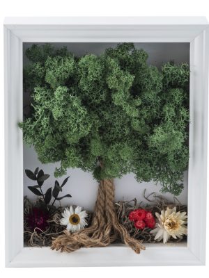 018_arbol_frontal