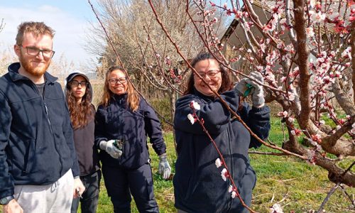 Imagen-de-WhatsApp-2025-03-06-a-las-11.11