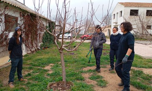 Imagen-de-WhatsApp-2025-03-06-a-las-11.11.6