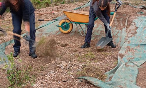 Imagen-de-WhatsApp-2025-03-06-a-las-11.11.6.8