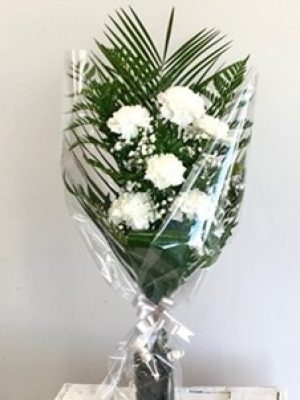 Ramo 6 claveles-floristeria