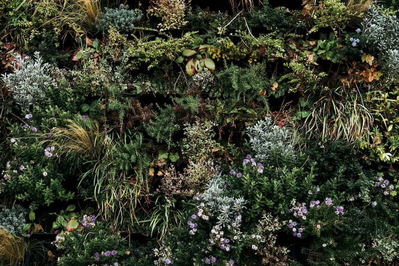 jardin vertical con plantas de interior