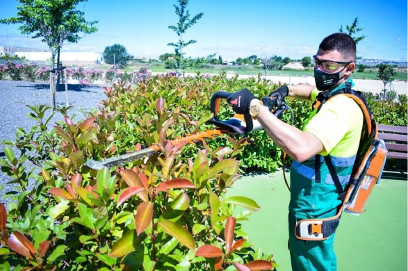 empresa de jardineria en zaragoza
